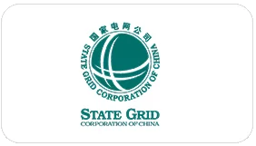 The State Grid