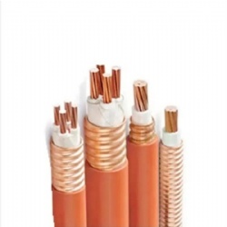 Fireproof Flame Retardant 0.6/1kv Ng-a (BTLY) /Bbtrz/Yttw/Bttz Mineral Insulated Cable Copper Wire Low Price